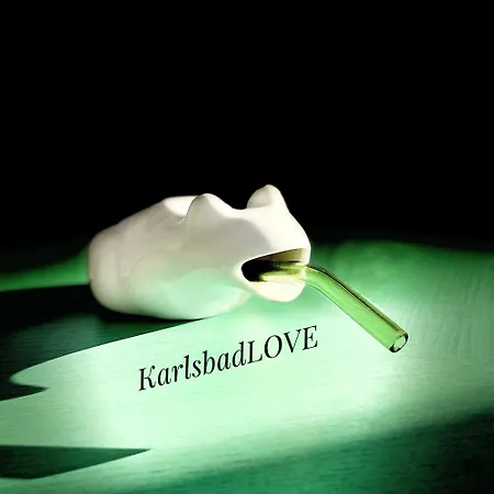 Mint Mit Vorgarten - Karlsbadlove