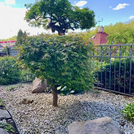 Mint Mit Vorgarten - Karlsbadlove Appartement
